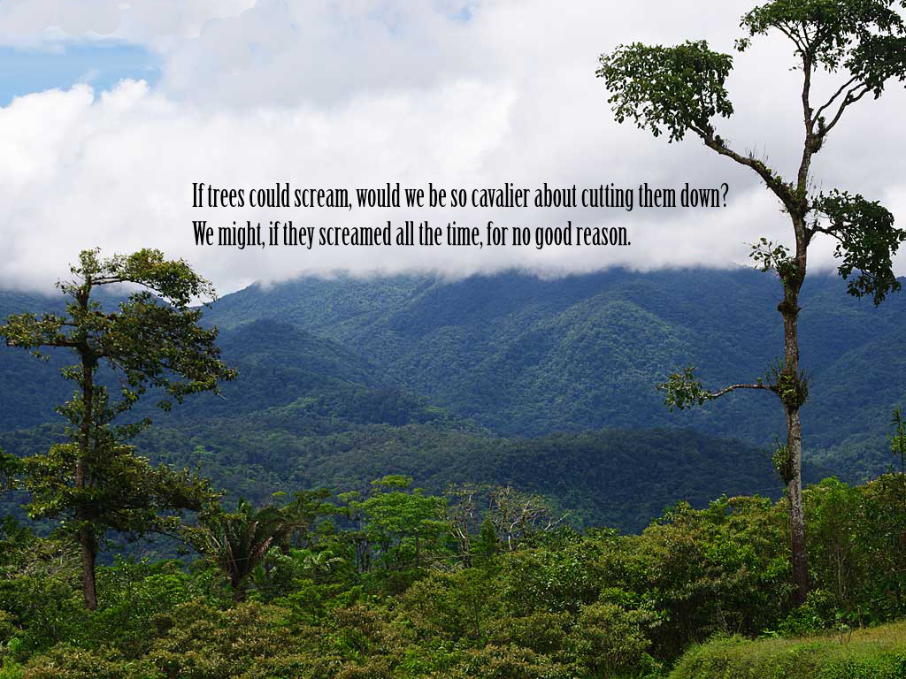 Funny Nature Quotes QuotesGram