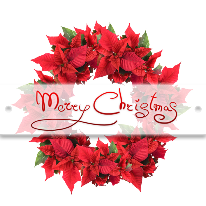 Christmas Quotes With Flowers. QuotesGram