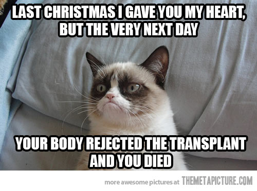 grumpy cat christmas quotes