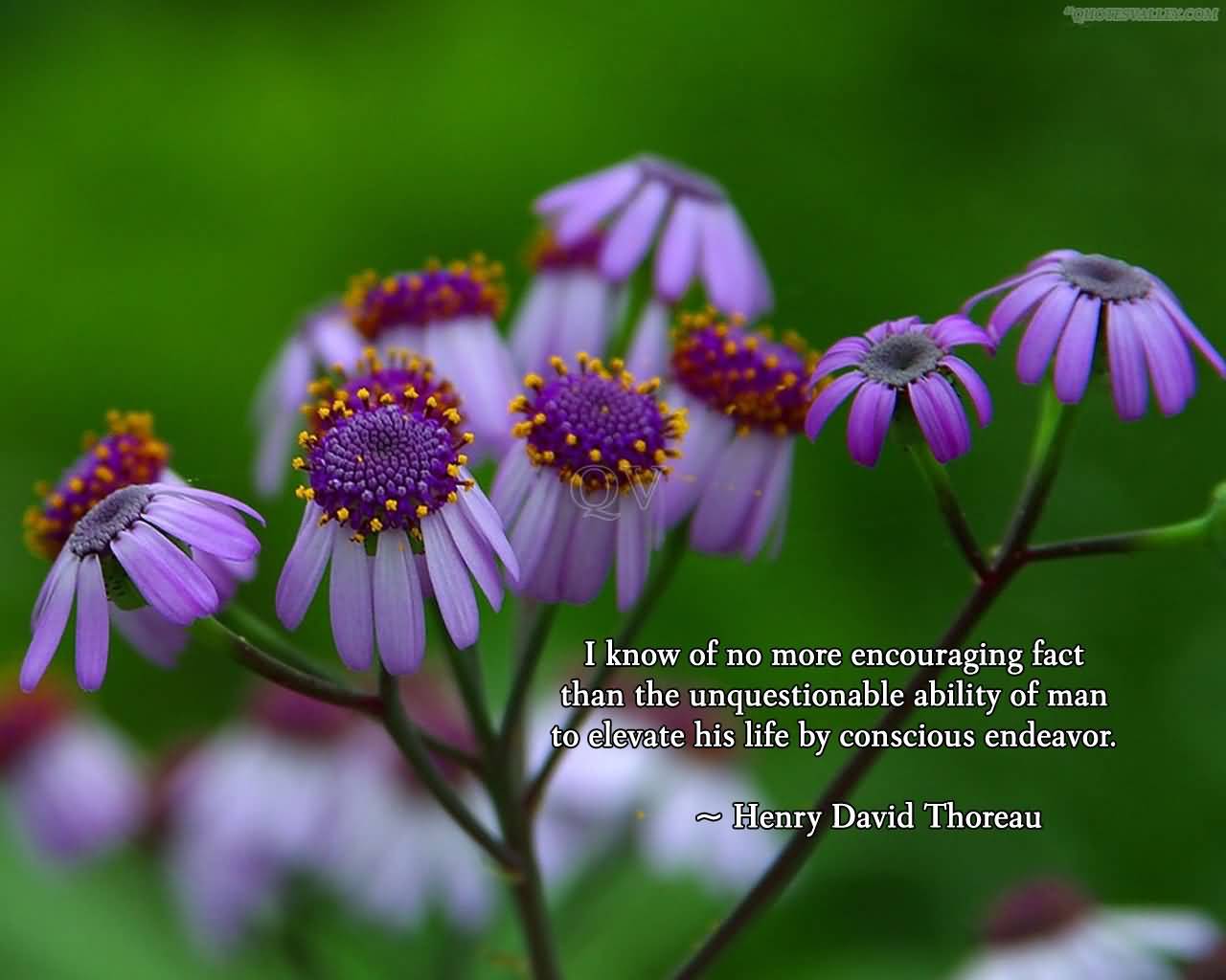 Quotes About Ability And Encouragement. QuotesGram