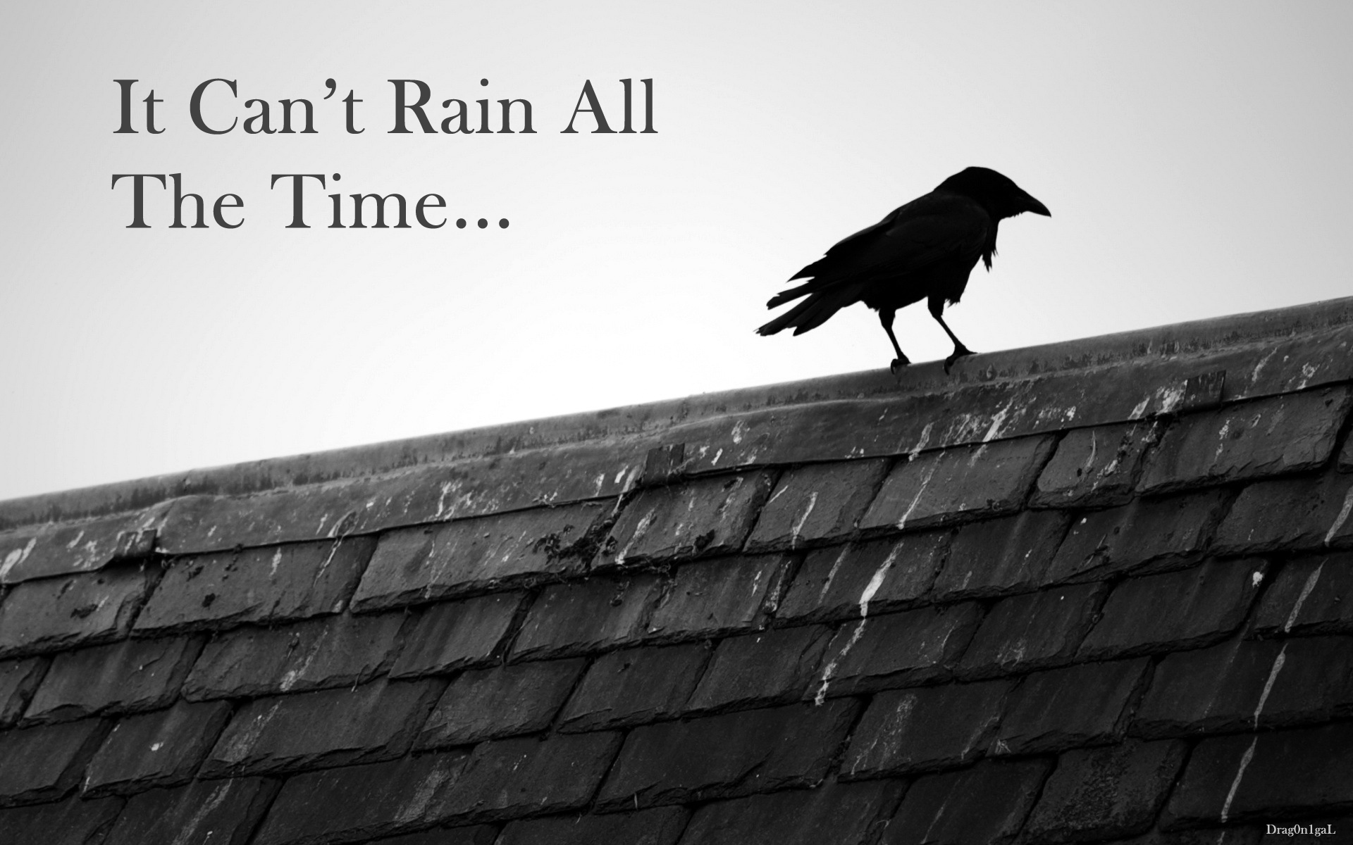 Crow Animal Quotes