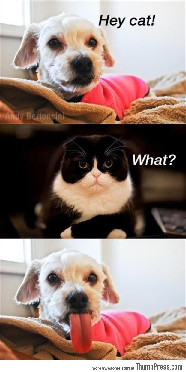 Funny Quotes Of The Day To Make You Laugh QuotesGram Funny Quotes Of The Day To Make You Laugh QuotesGram