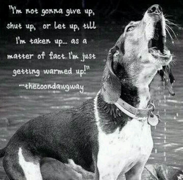 Quotes About Hunting Dogs QuotesGram Quotes About Hunting Dogs QuotesGram