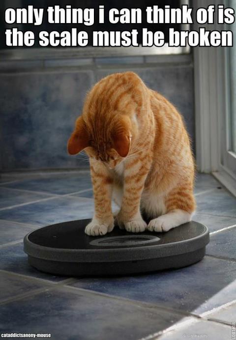 Weight Scale Funny Quotes. QuotesGram