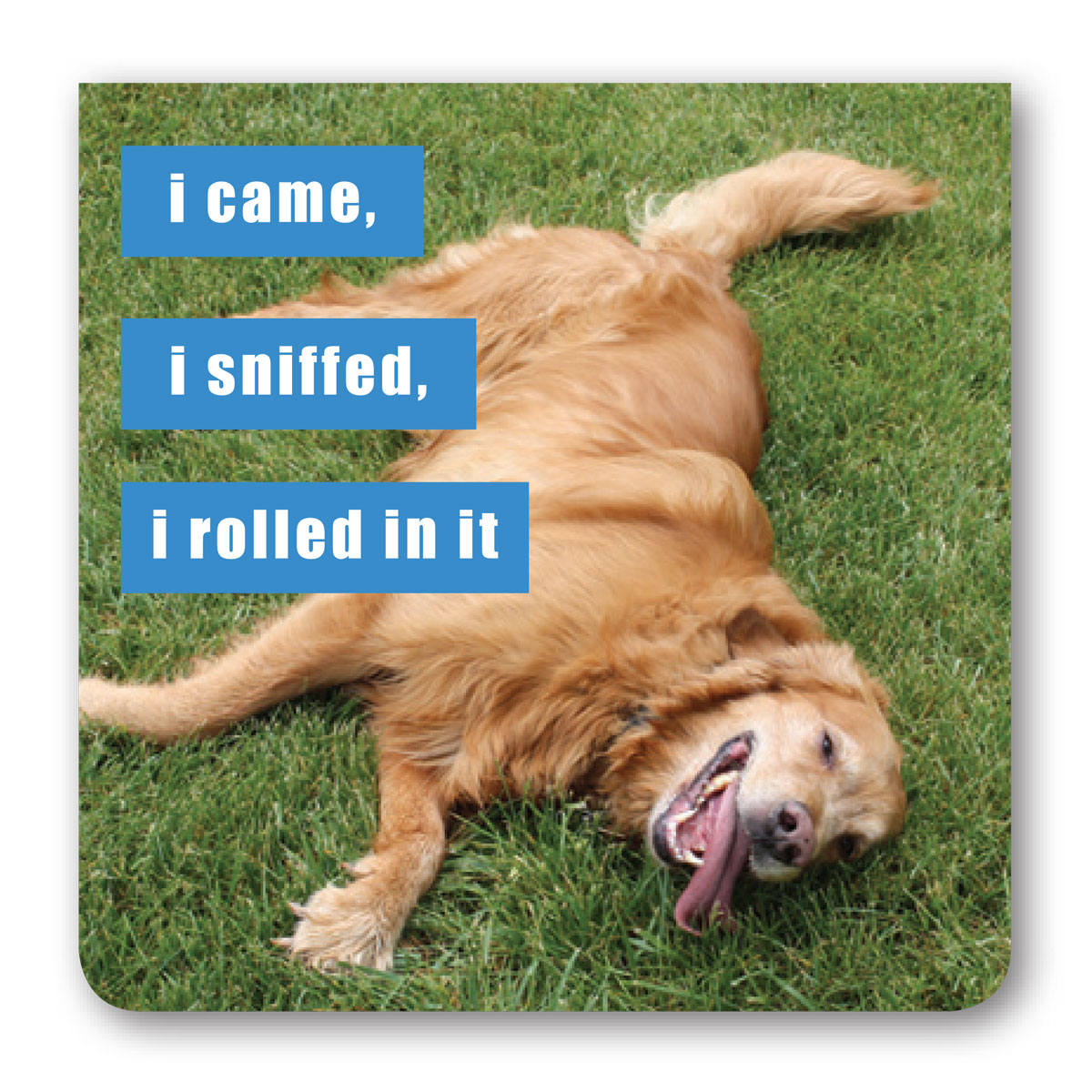 Retriever Quotes Quotesgram Retriever Quotes Quotesgram