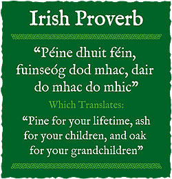 Famous Irish Drinking Quotes Quotesgram