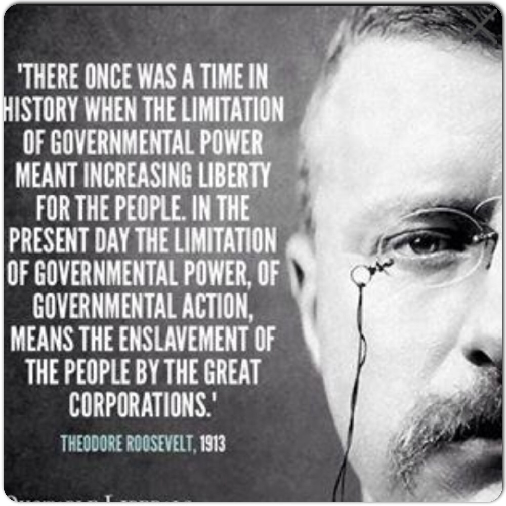 Patriotism Theodore Roosevelt Quotes. QuotesGram