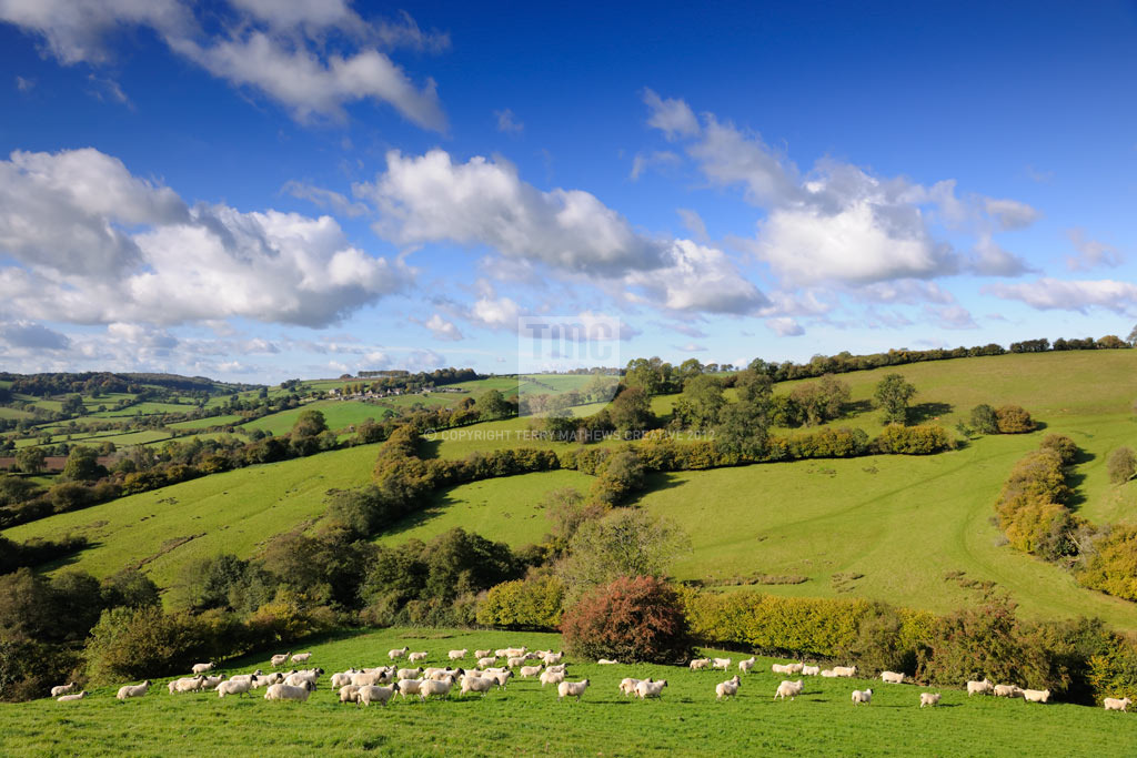 English Countryside Quotes. QuotesGram