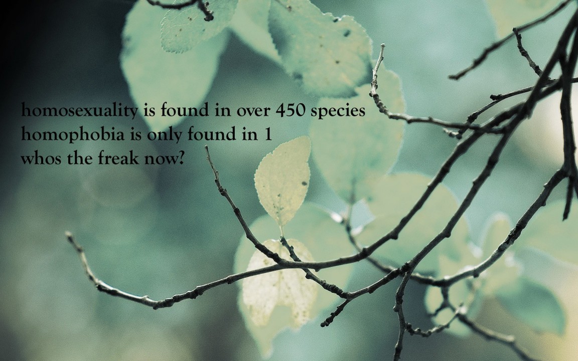 Best Quotes About Nature. QuotesGram