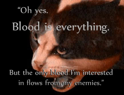 Warrior Cats Quotes And Sayings. QuotesGram