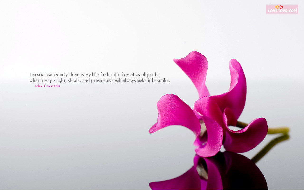 Broken Friendship Quotes