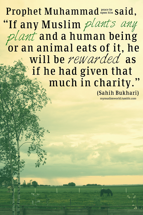 Prophet Muhammad Quotes On Education. QuotesGram
