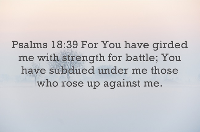Bible Quotes About Being Nice QuotesGram bible-quotes-about-being-nice-quotesgram