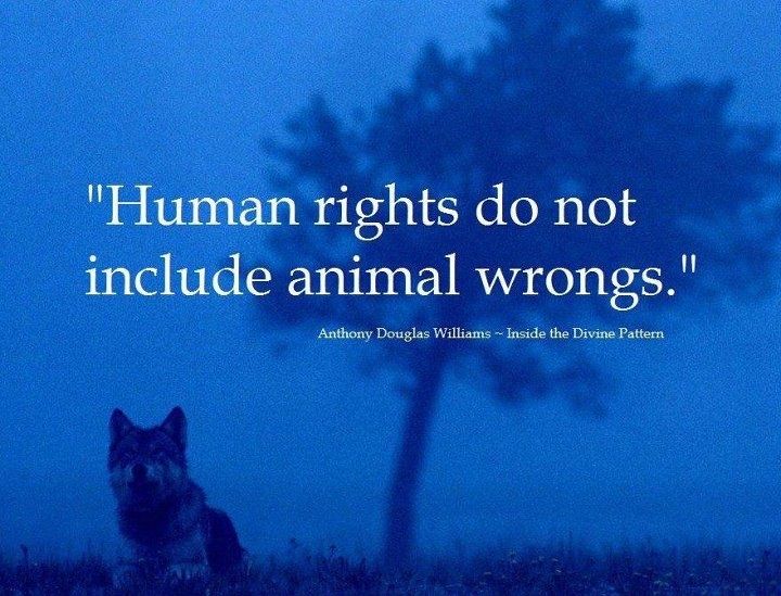 Human Cruelty by Wade H. Garrett Human Cruelty by Wade H. Garrett