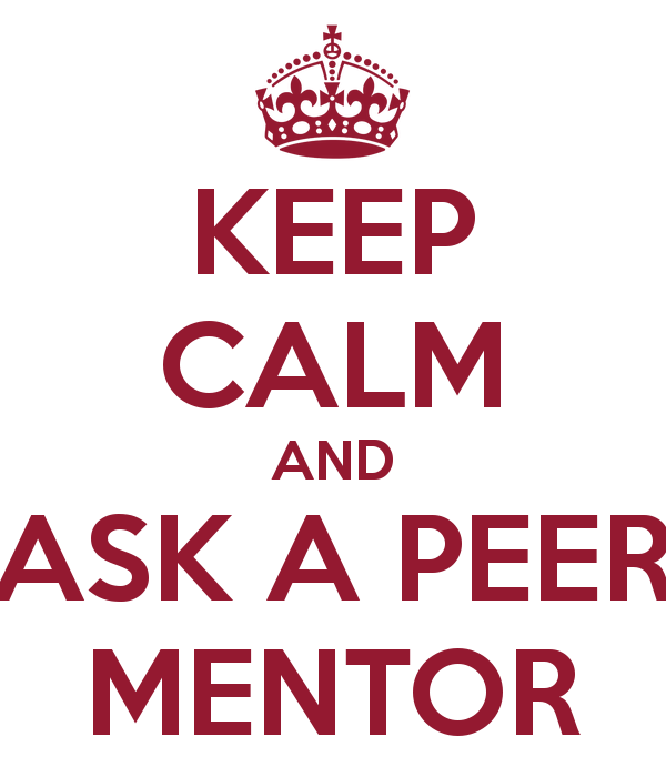 Peer Mentoring Quotes. QuotesGram