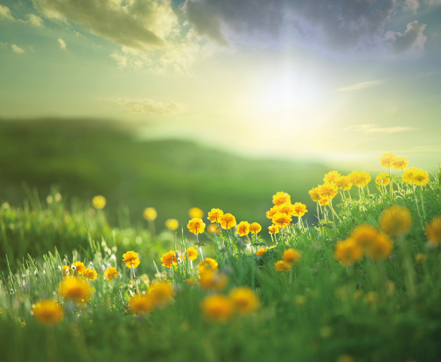 Quotes About A Bright Future QuotesGram