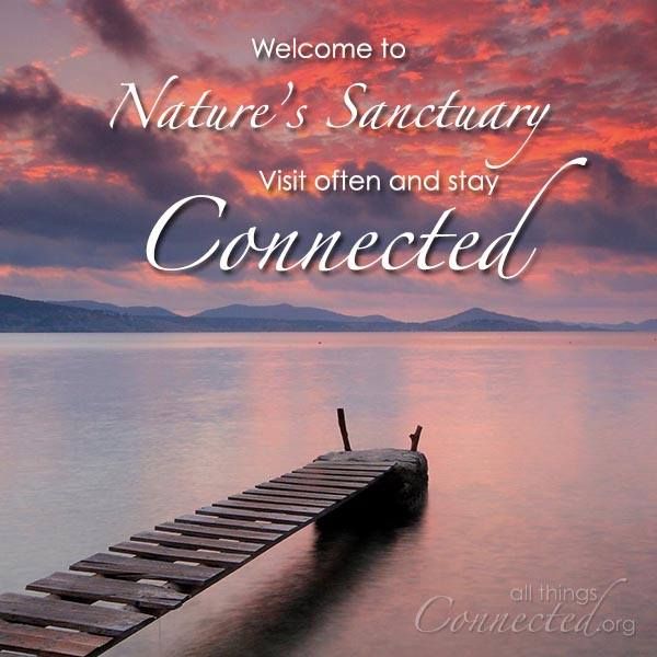 Nature connect. Stay home stay lives. Places to stay.