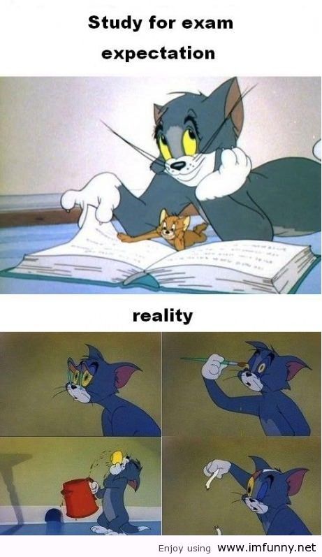 Featured image of post Exam Funny Quotes About Study : 367 positive thoughts for students.