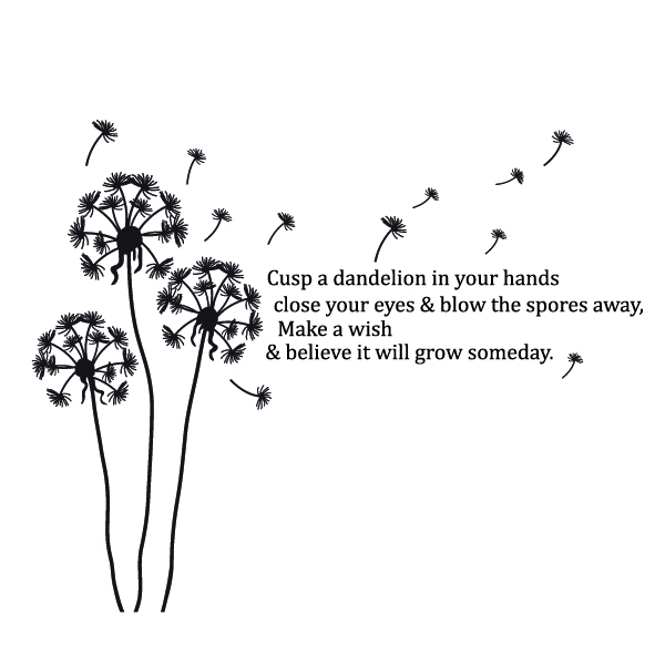 picture Dandelion Wish Quotes dandelion wish quotes quotesgram