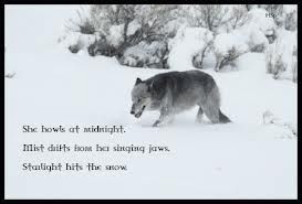 Native American Wolf Quotes. Quotesgram