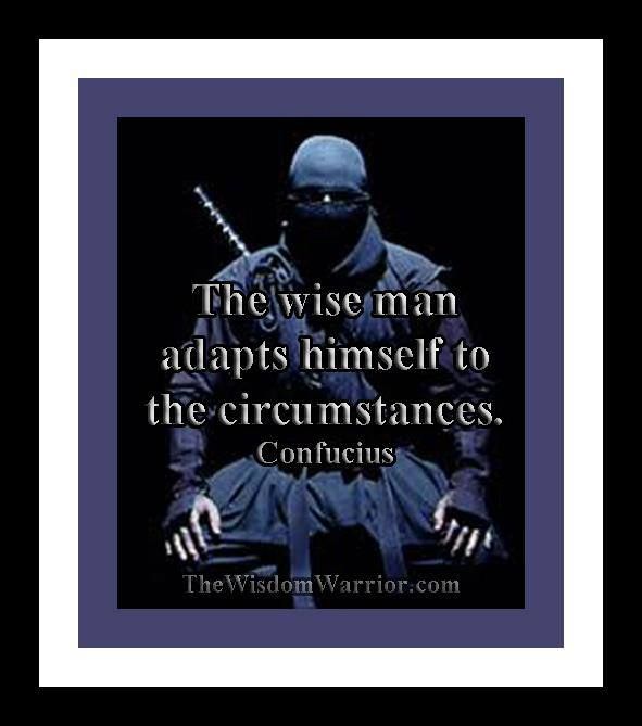 True Warrior Quotes Quotesgram True Warrior Quotes Quotesgram