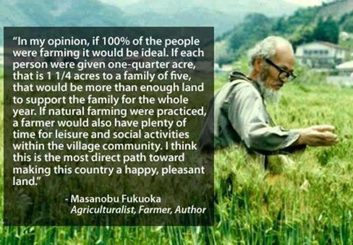 Masanobu Fukuoka Quotes. QuotesGram Masanobu Fukuoka Quotes. QuotesGram