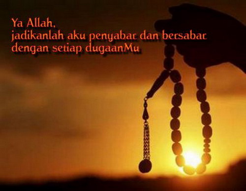 pics Famous Islamic Scholars Quotes quotes about scholars quotesgram