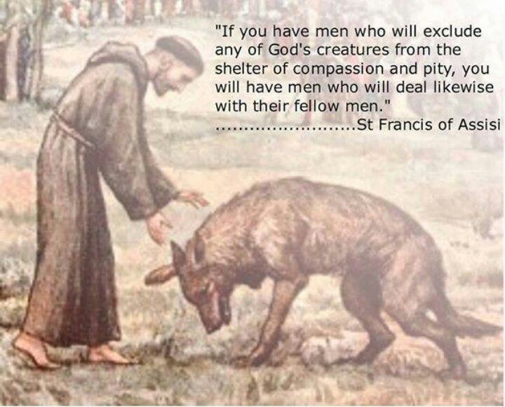 St Francis Of Assisi Prayers And Quotes QuotesGram