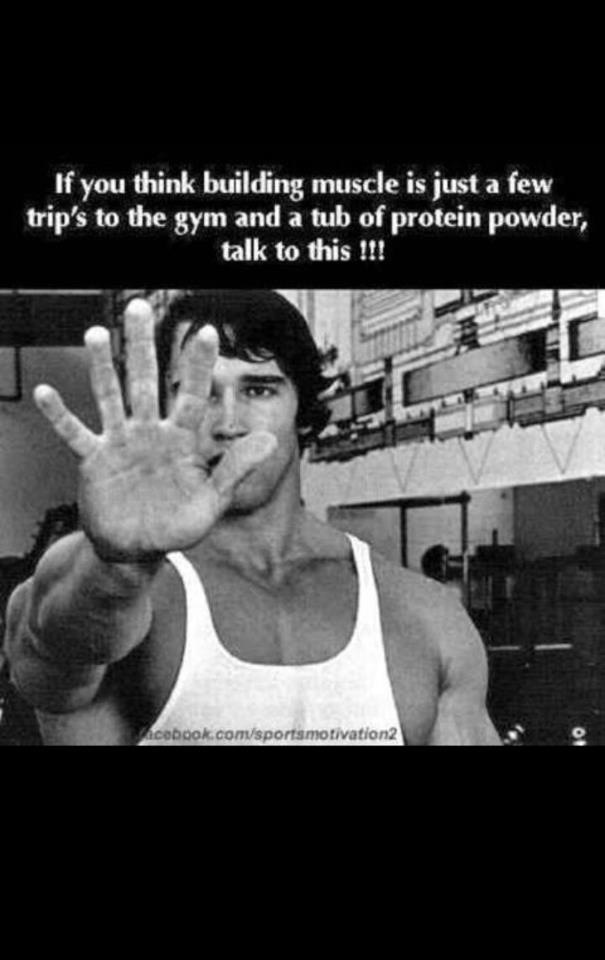 Arnold Schwarzenegger Fitness Quotes. Quotesgram