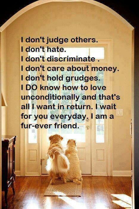 unconditional-love-quotes-for-pets-quotesgram