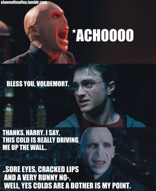 Voldemort Funny Quotes. QuotesGram