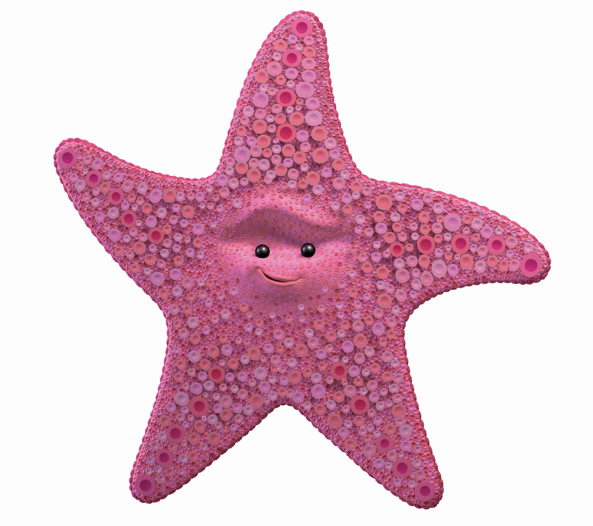 Найти морскую звезду. Морская звезда Немо. В поисках Немо морская звезда. Морская звезда из Немо.