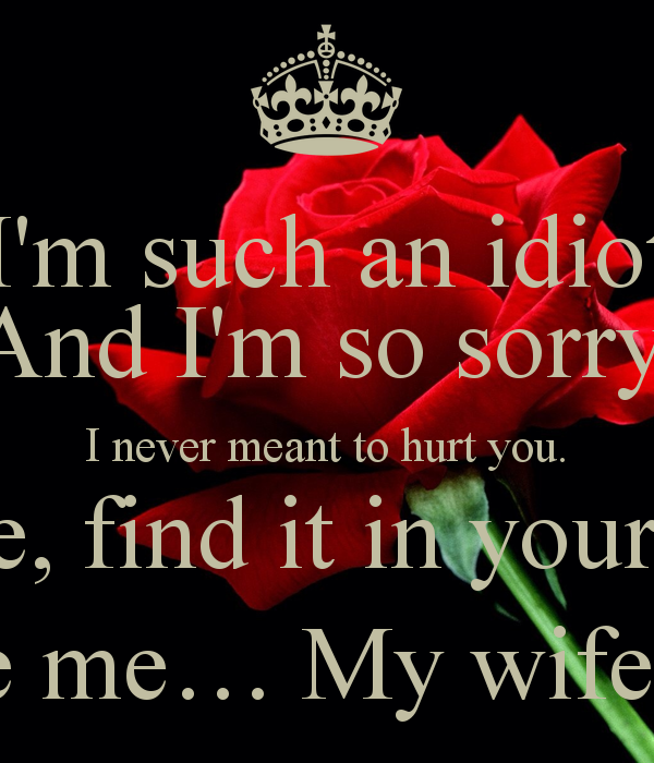 519969959 i m such an idiot and i m so sorry i never meant to hurt you please find it in your heart to forgive me my wife my love