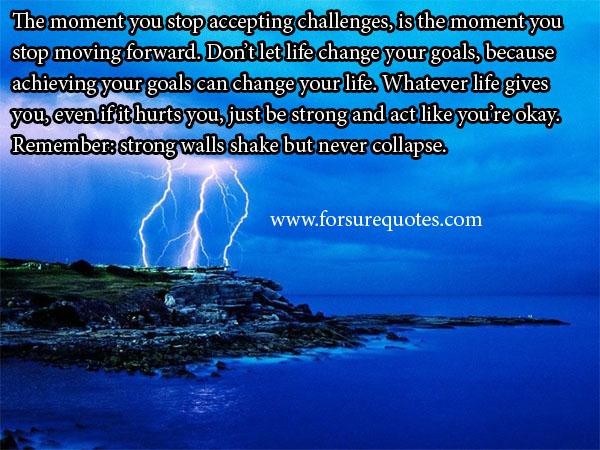 Quotes About Your Goals In Life. QuotesGram