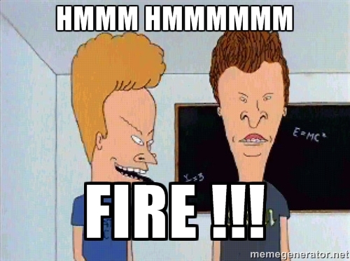 beavis and butthead fire beavis and butthead fire