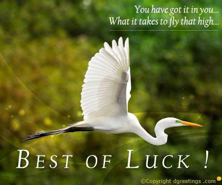 Wishing Someone Success Quotes. QuotesGram