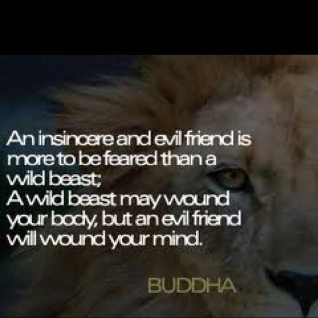 Snake In The Grass Quotes. QuotesGram