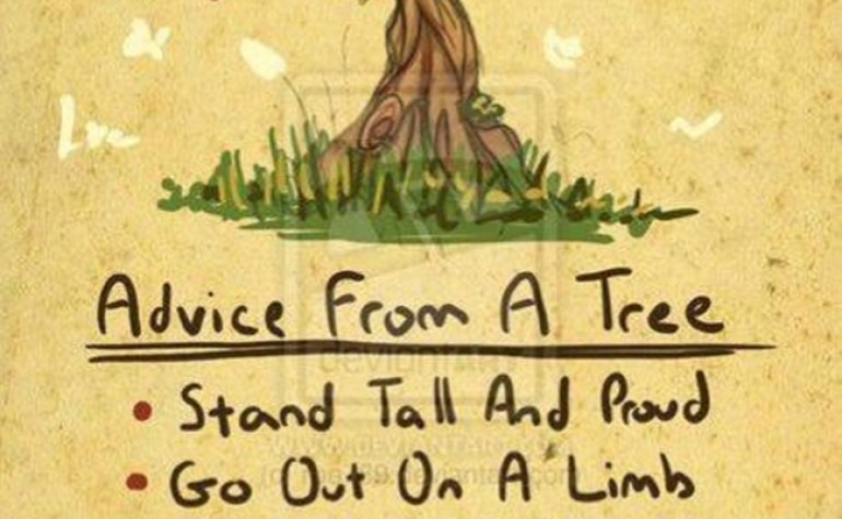 Friendship Quotes About Trees. QuotesGram
