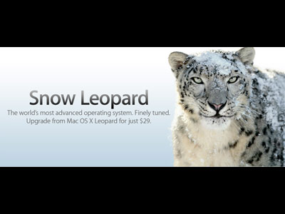 Snow Leopard Quotes. QuotesGram