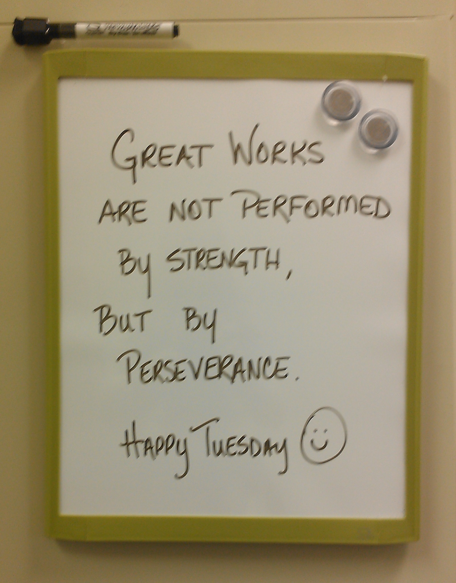  Tuesday Funny Work Quotes  QuotesGram