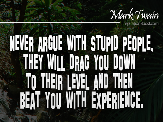 Arguing With Stupid People Quotes. QuotesGram