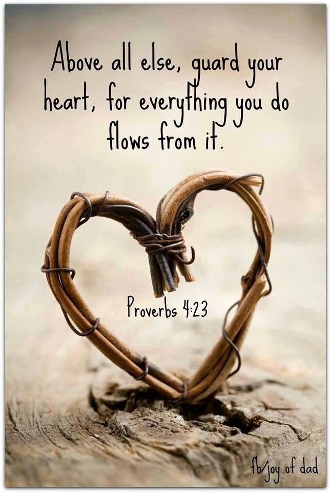 Proverb Kjv Love Bible Quotes Quotesgram