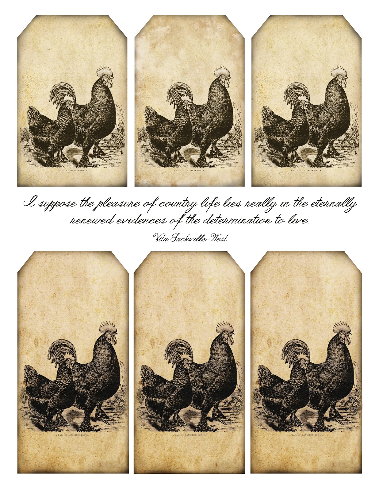 Rooster Quotes And Sayings. QuotesGram
