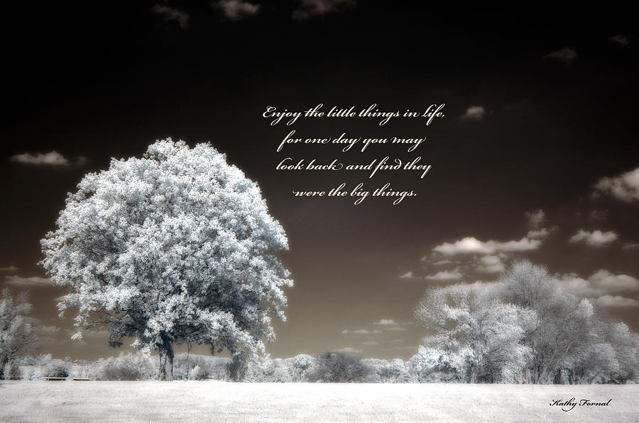 Inspirational Quotes About Trees. QuotesGram