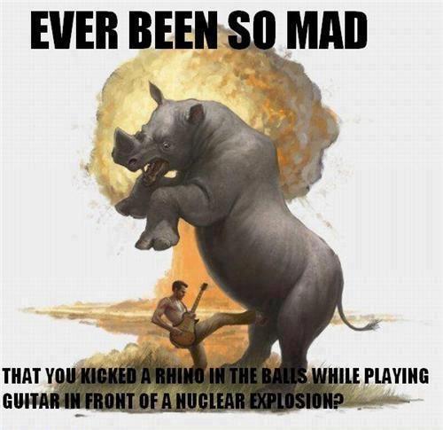 rhinoceros success tickbird rhinoceros success tickbird