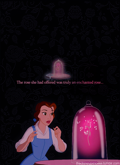 Belle And Beast Love Quotes Quotesgram Belle And Beast Love Quotes Quotesgram