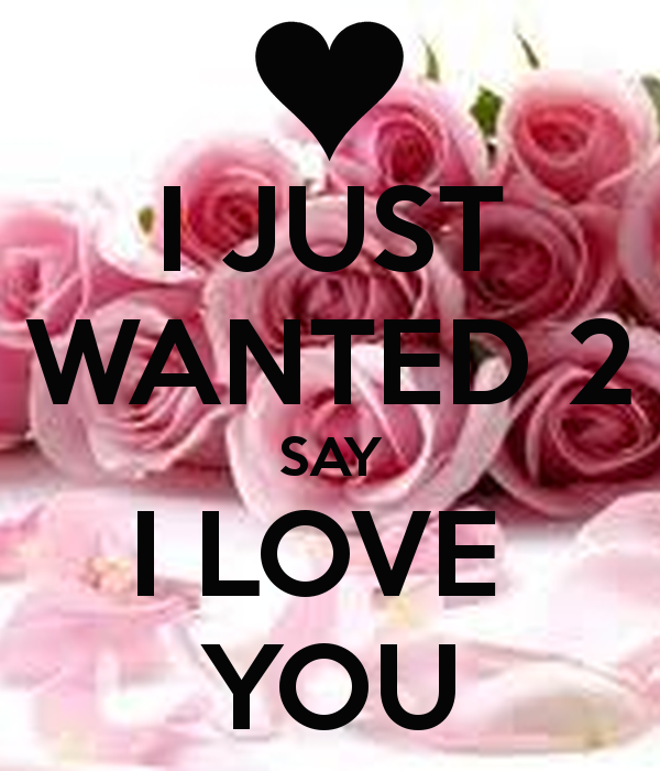 Just Wanted To Say I Love You Quotes Quotesgram