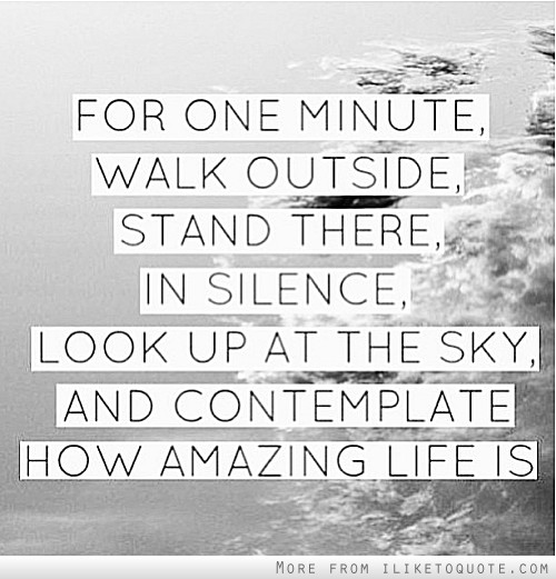 Walking In Silence Quotes. QuotesGram