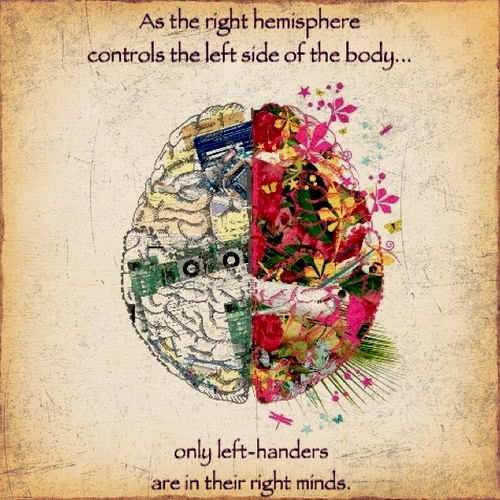 Funny Left Handed Quotes. QuotesGram