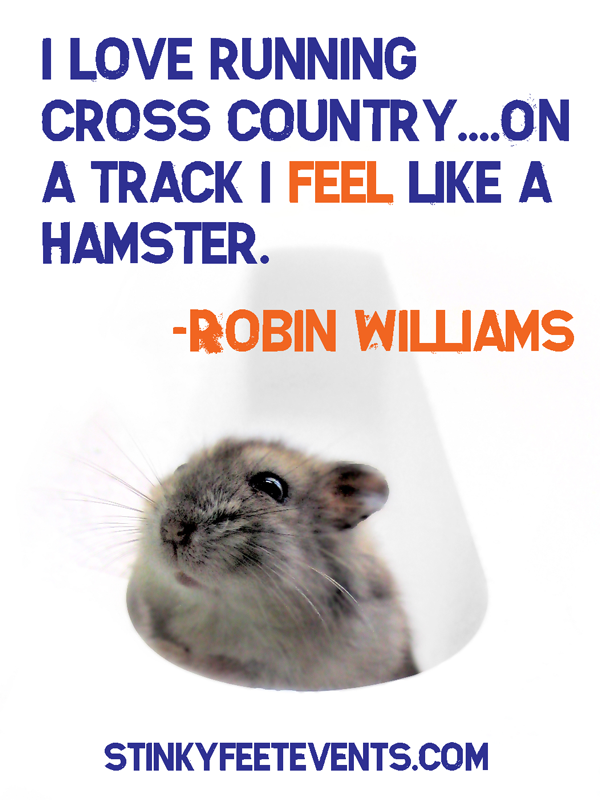Quotes About Hamsters. QuotesGram Quotes About Hamsters. QuotesGram